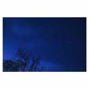 裸体女学生做爰全过程69XX
